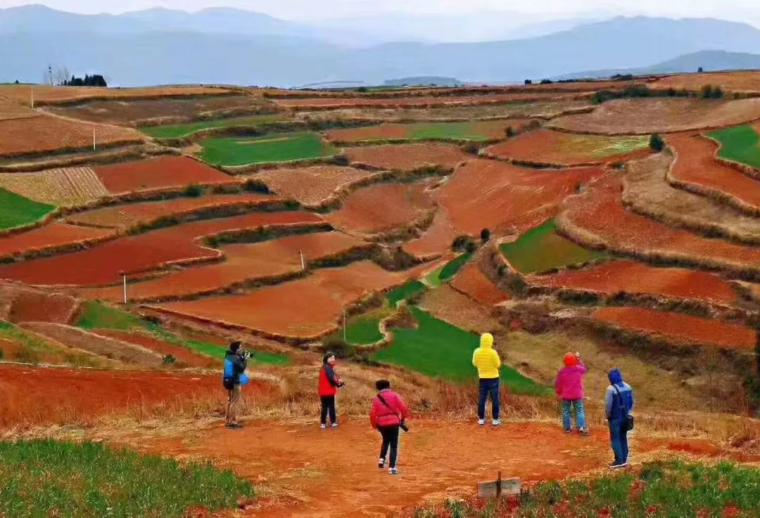 6ce24919c936d3f5d313f5f424182a1d-sz_737597