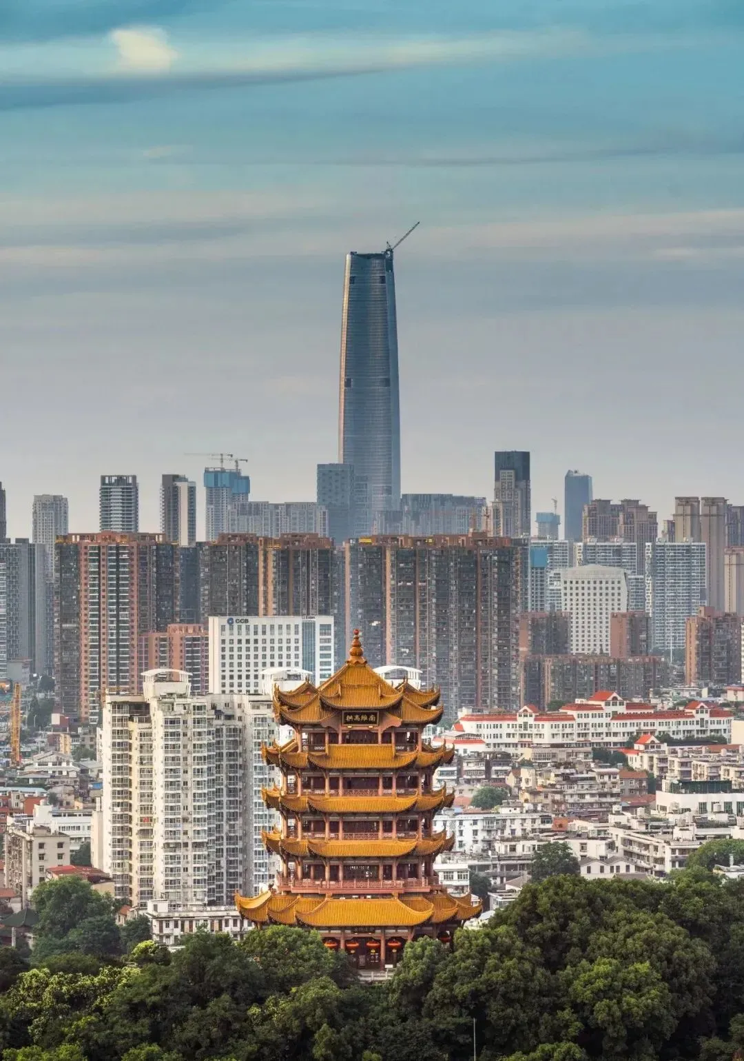 6d40b37476a009b7becbf4f6a897a956-sz_272658