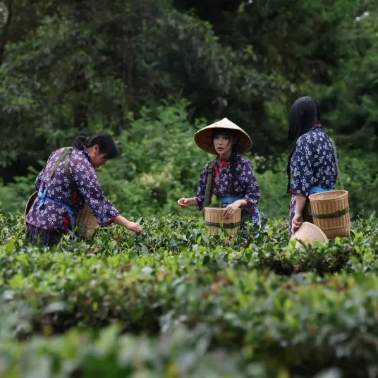 6e40cc4495fd725849d718b450561be7-sz_2916881 6e40cc4495fd725849d718b450561be7-sz_2916881