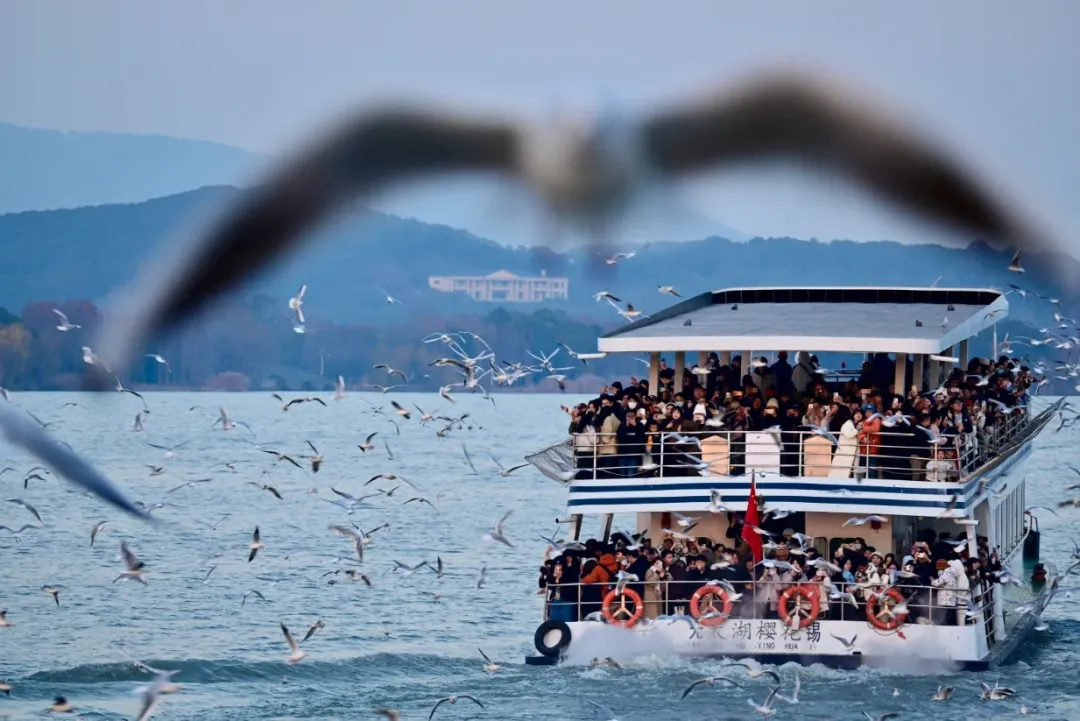 6e439751c4baacc9434cf00f9f712cf2-sz_636377-2