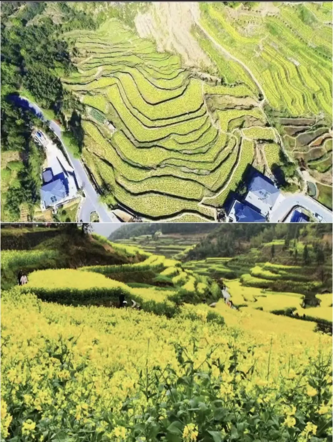 6e5a4e847bc384f4237767f4b5a66a7a-sz_326272-2