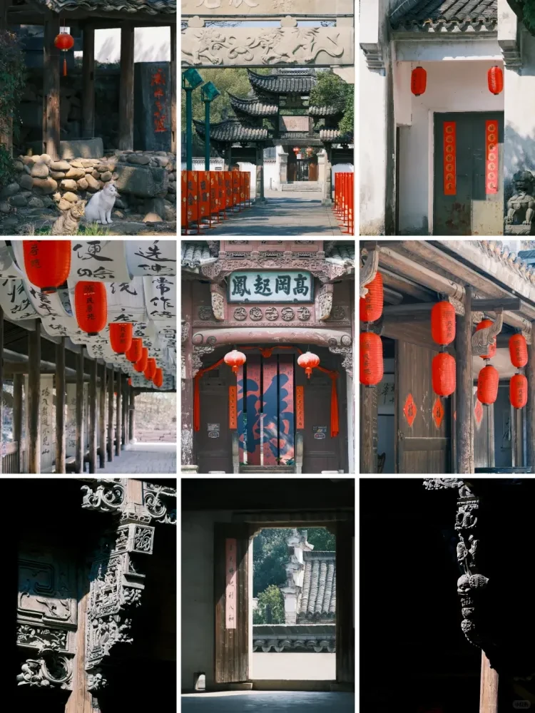 6e69cd565d01fae1414b8a03bc640125-sz_2911117