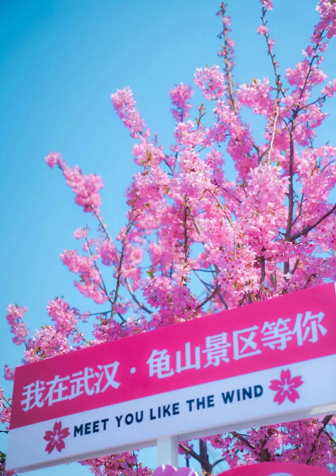 6e7d7b0ec84c277d322fbde0021df75b-sz_297154