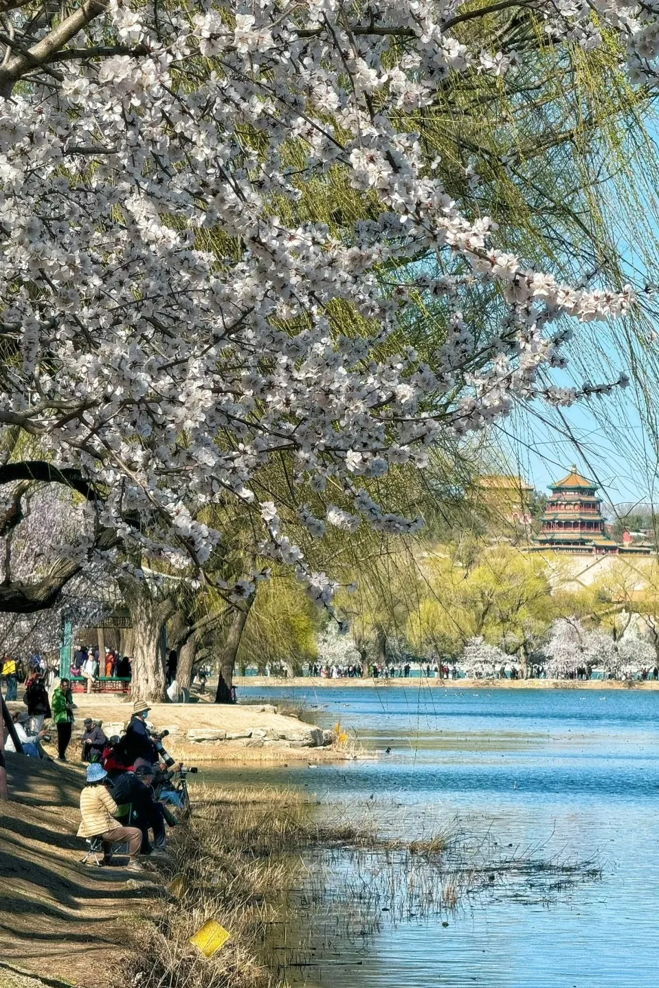 6f0cd510a5750bc34053d2ff9a35fcd1-sz_897618-1