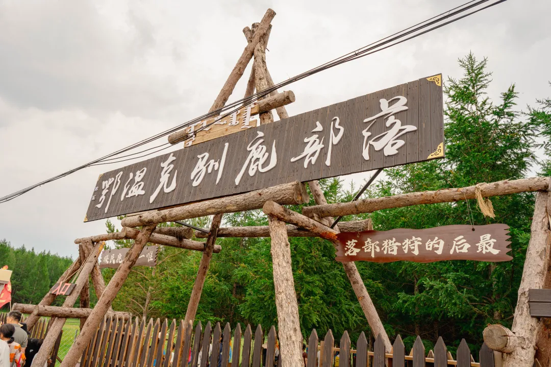 707dbb076e7a54bf94052d8a0314d51a-sz_2663124