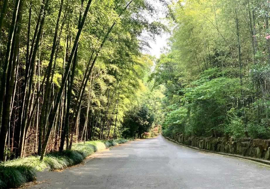 70d78b7ef4702a4cafcda64e97470b63