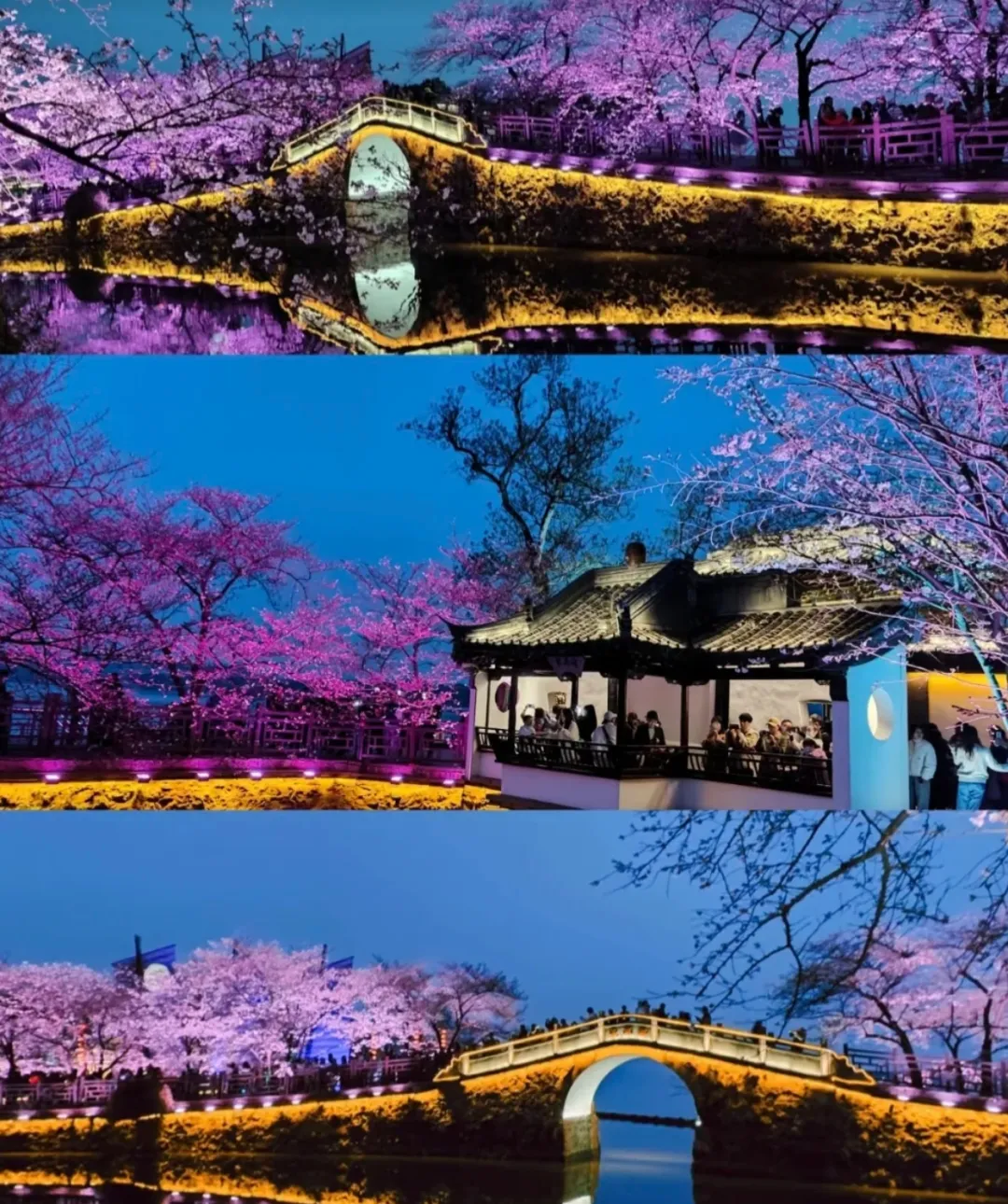 70fb10eb6f5c999fdb8112e013e01645-sz_1298145-1