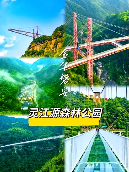 7146aafb464f3a8bc1d0e3423452bae6-sz_820012