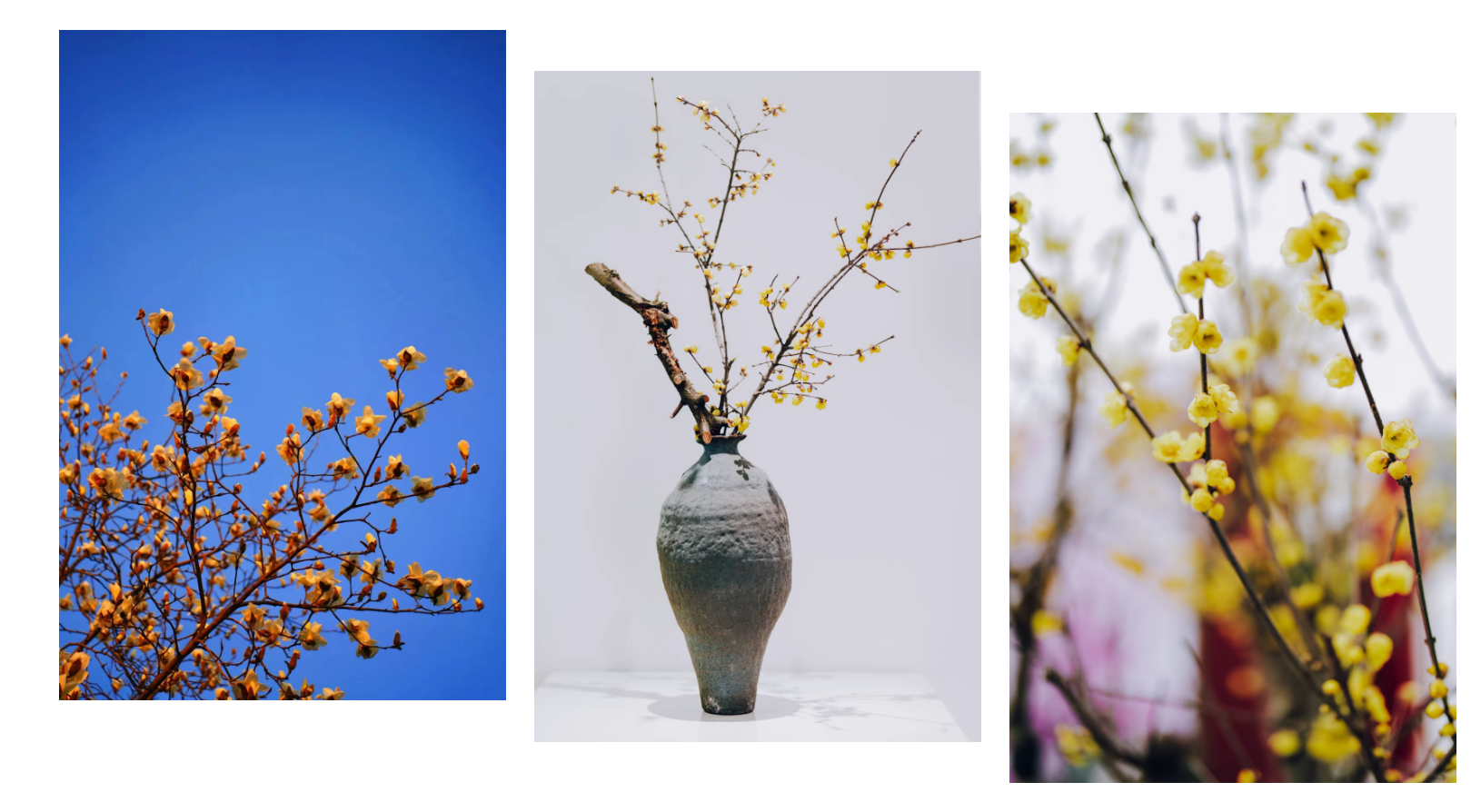 7175513e6553c320e9e88b27da5a5189