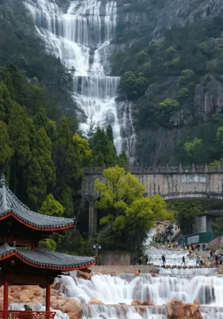 71aabf1f052898890352477ba04c4192-sz_206012