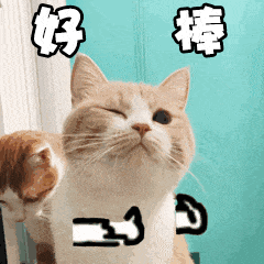 71ffb4a224b05868df763fcbbea7105d-sz_27319-2