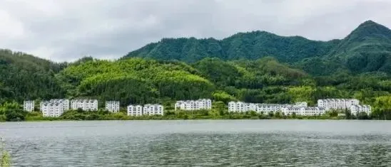 7250de39e16e6bca37e25010fcb0a029-sz_27743