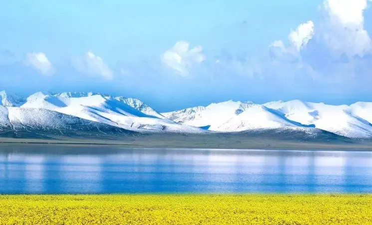 72726a740f1fa16662c778abb9acac75-sz_668960