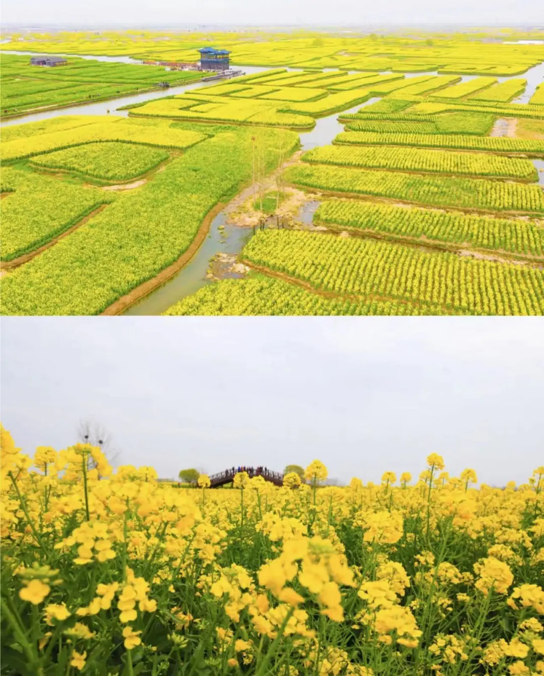 72d901e75e654eee557861d71d84f0cb-sz_301428-2