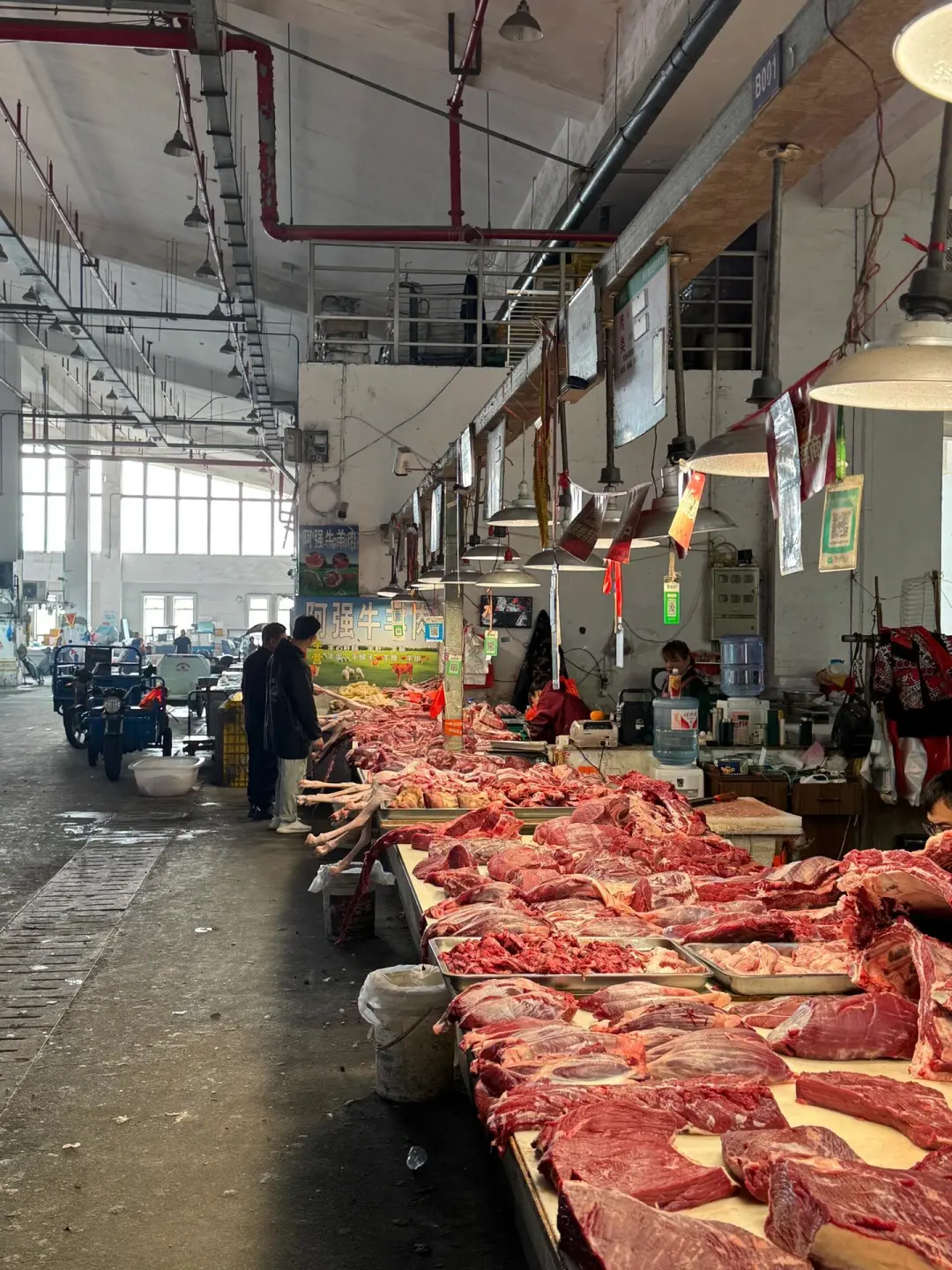 73170cc5322ea80473178a6dcc19c983-sz_502203