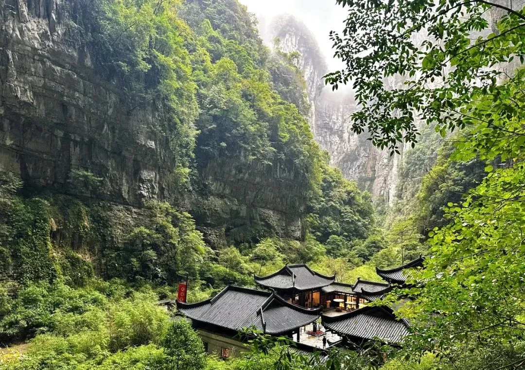 73a327477955fc91664818d2c3039c7e-sz_326070