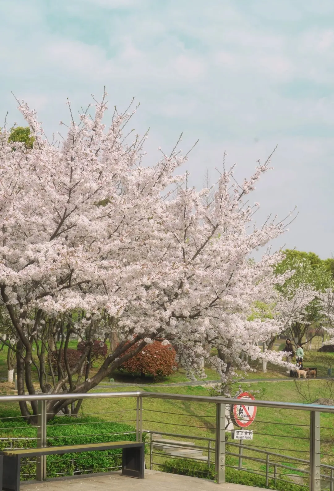 73a5a730834f603b8f526ab5266ab9f4-sz_764049