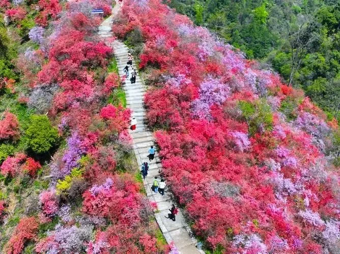 73cf88efe27132f21e4df7abb3867a74-sz_127034