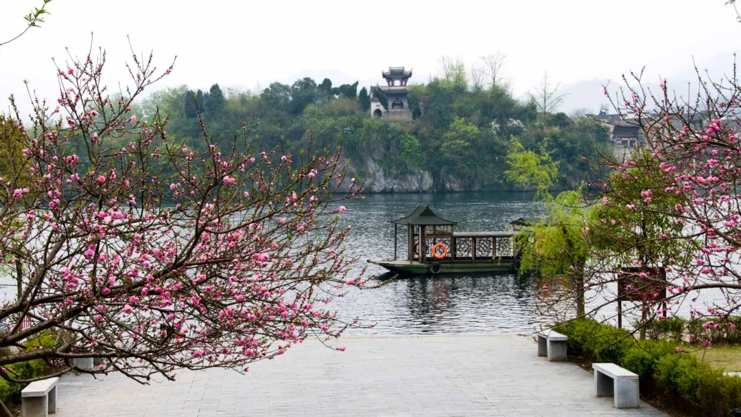 73e93a07e5dcf5f5a4bb5b65da79412c-sz_1582302