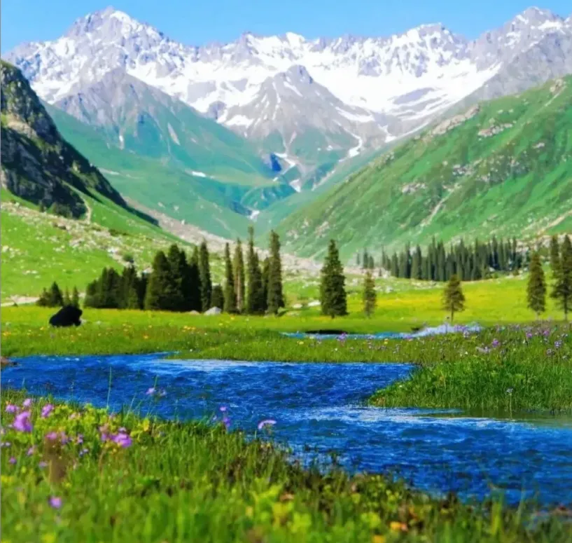 73f2280d01d2c38ee9e7e04a4b7f23b7-sz_1743747