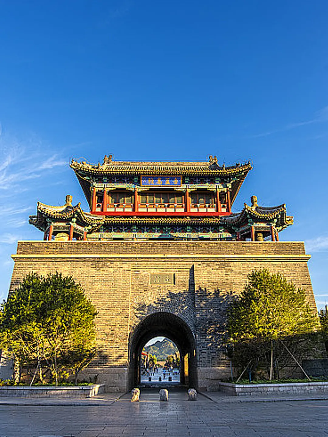 7495cc839d977a2a3c9c772ceb416d27-sz_992215