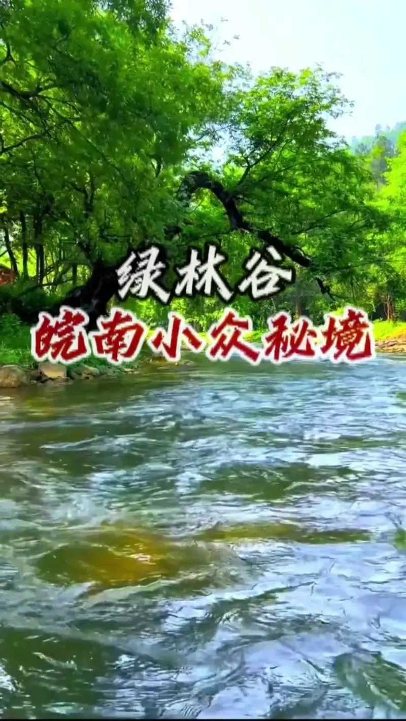 74a5c3c09c5a944dc2e46a6ee7f7ed91-sz_176405