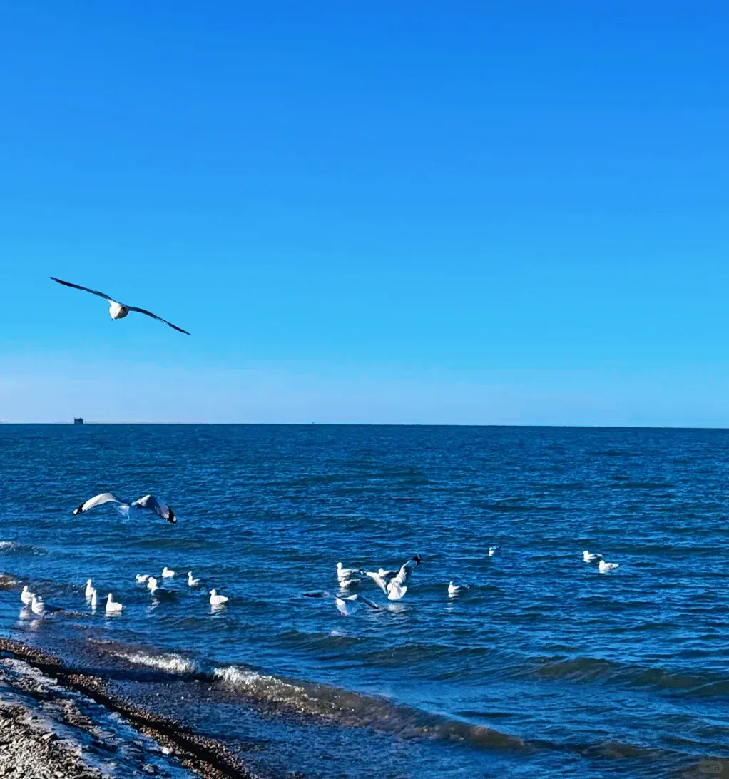 74ac00ac631ecc8193fbb13319704466-sz_1072314