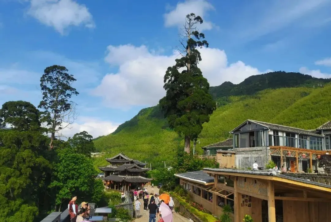 74b37d5dc32d509d3a15f3e6805ea9eb-sz_154046-2