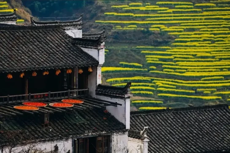 74d1161520e4e95014853d6c6667ec02-sz_157319