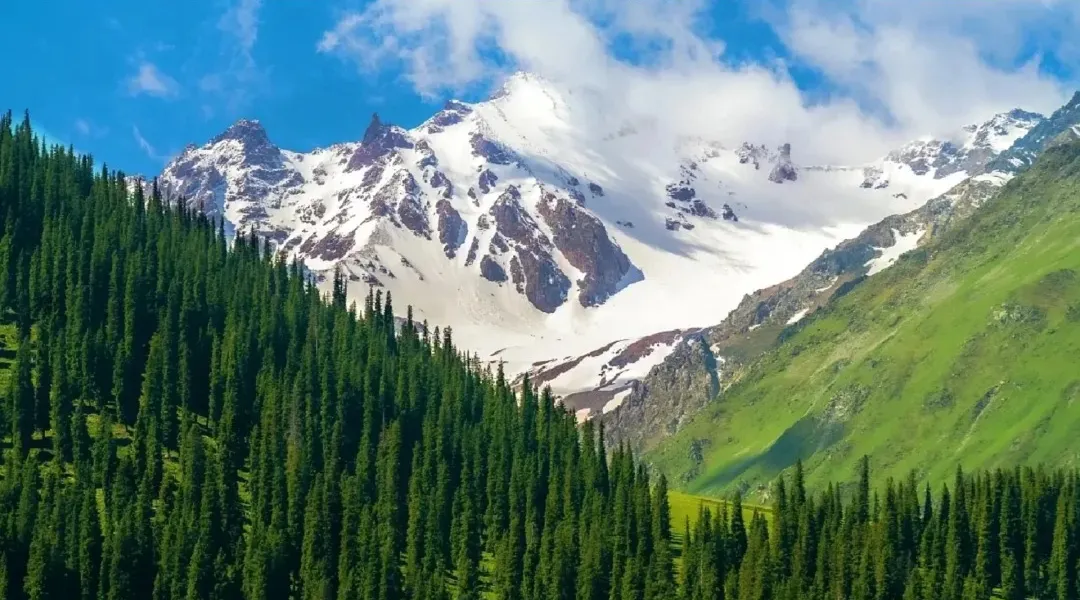 75086473a783a014b9a4f16949aaad6e-sz_442080