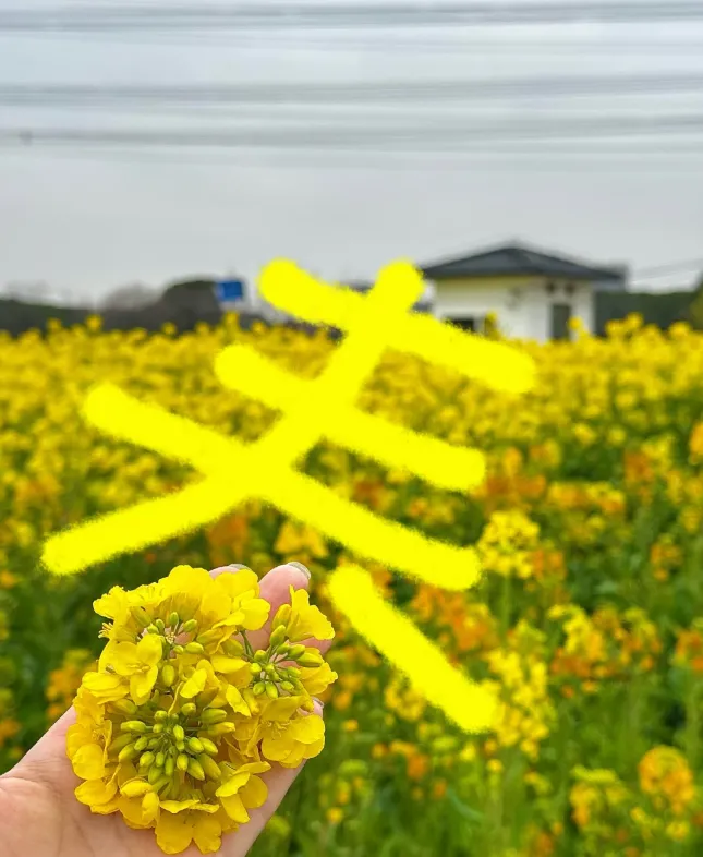 756d41f30748a6f2810786f89709c8ca-sz_980776