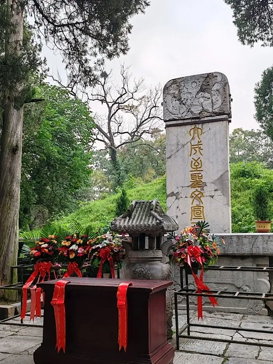 7584d4e77ba2e08c71812013de76d794-sz_854367