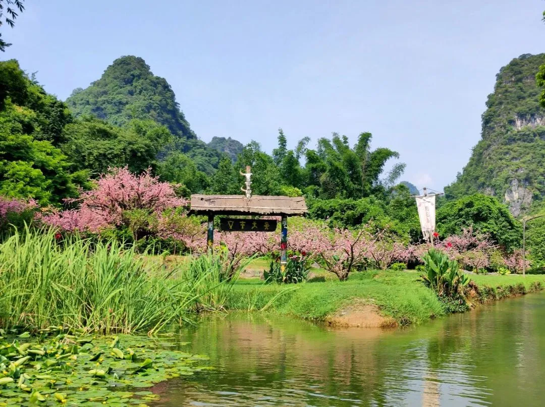 758553c68db5b8f03523122b2fa0d6d1-sz_221487