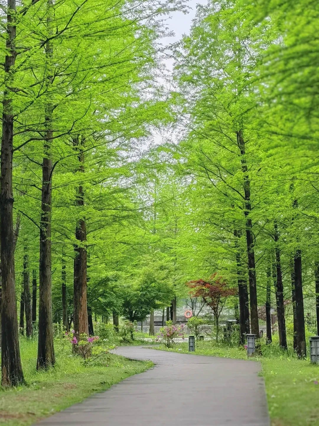 75d1e3ebbf7a04c1c69749555adedb49-sz_3181687 75d1e3ebbf7a04c1c69749555adedb49-sz_3181687