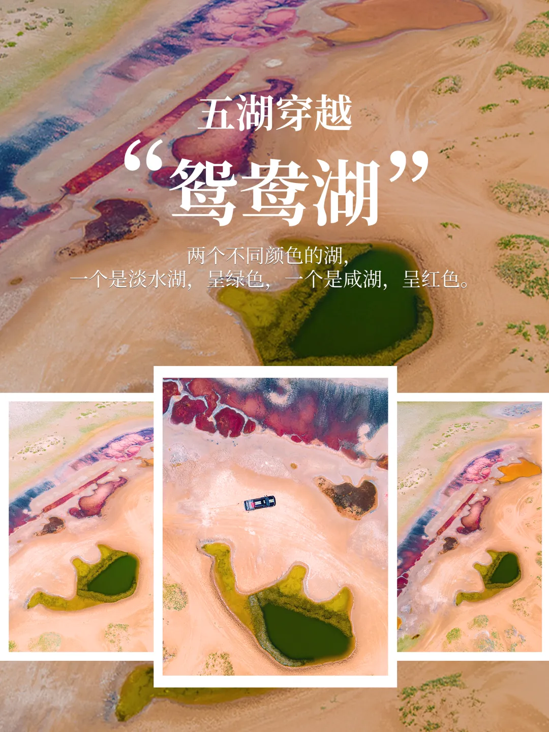 75f4a26316a36f4175b4ea2a71f955cb-sz_6601578