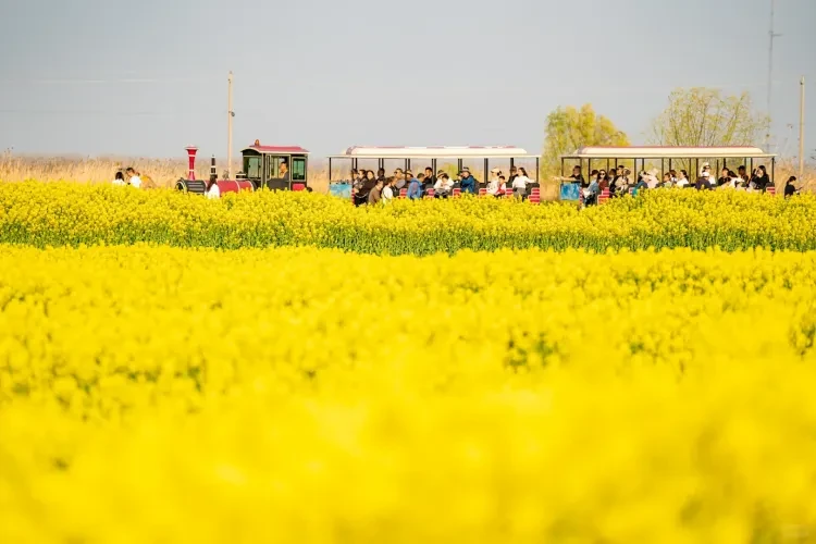 762025aacc9597559d0aa9896385df1d-sz_1907874