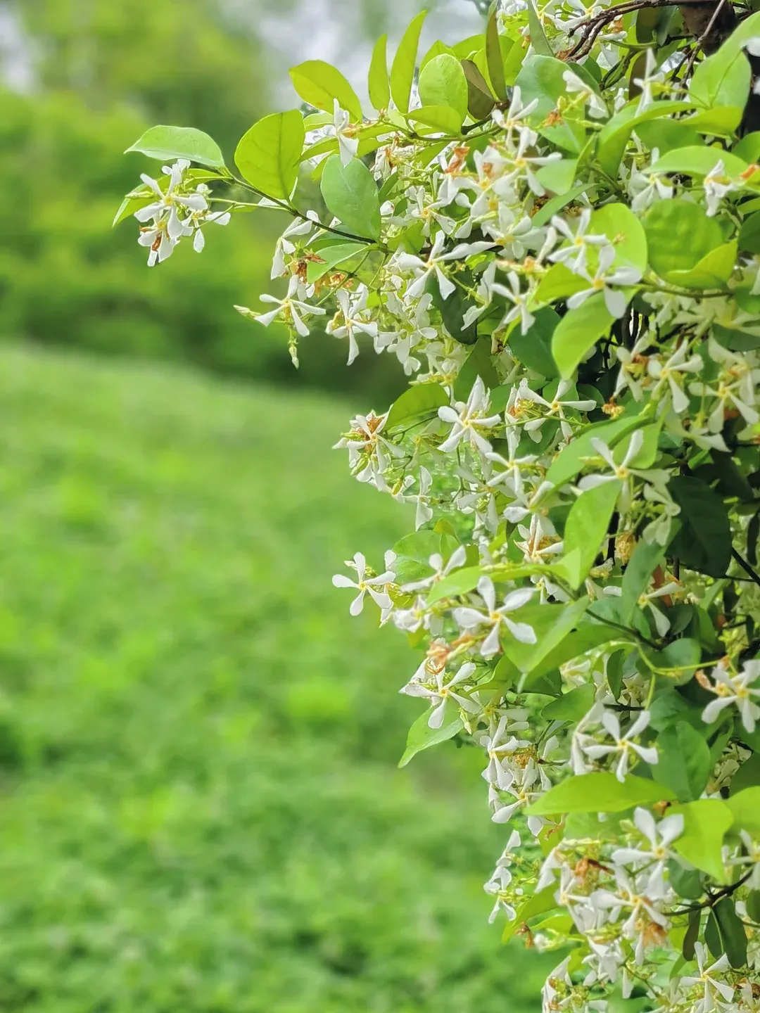 762cd006982d4b2fe948189e95166301-sz_1837518 762cd006982d4b2fe948189e95166301-sz_1837518