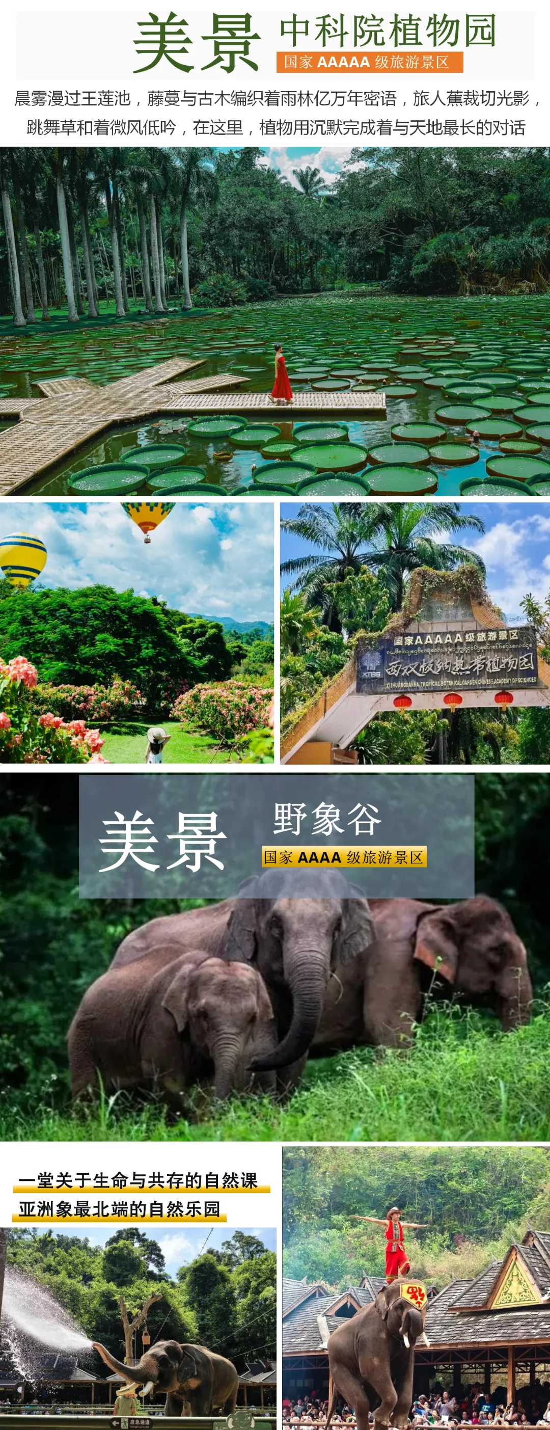 765b5a243d58311f5e3a04dfc59c60c0-sz_9938593-1