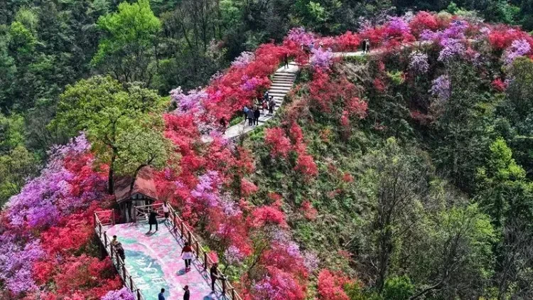 76e5d4050fba46dc206fde4c4db7f3a1-sz_158123