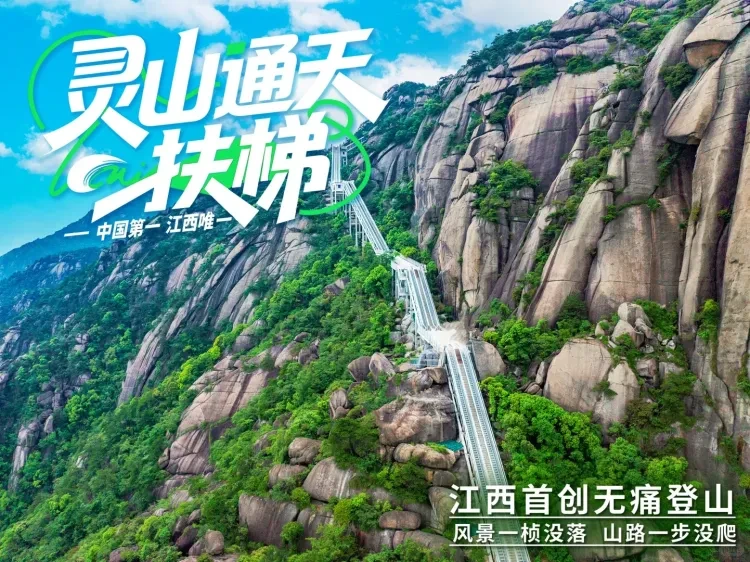 【纯玩：398元❤乘亚洲第一天梯❤登灵山❤婺源赏花五星四日】住三晚携程四钻酒店，登灵山，体验悬崖天梯，游山不爬山，婺源赏花，网红弦高古城，醉美篁岭，含5正3早