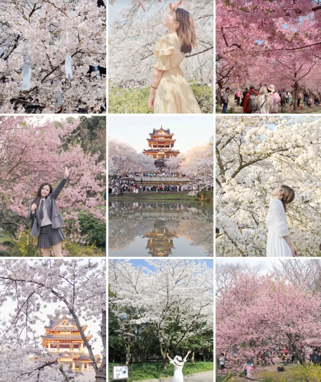 77bf2f0d4522134c0e6201012e9e146e-sz_1574113-2