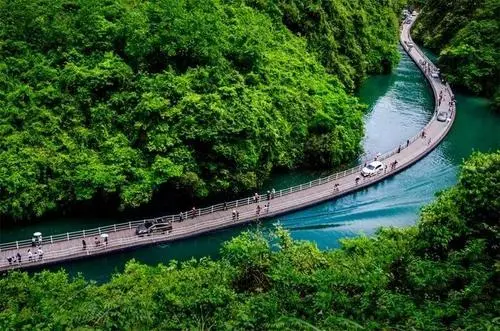 77c26a84564df304b5aed2595d74f4a2-sz_53905