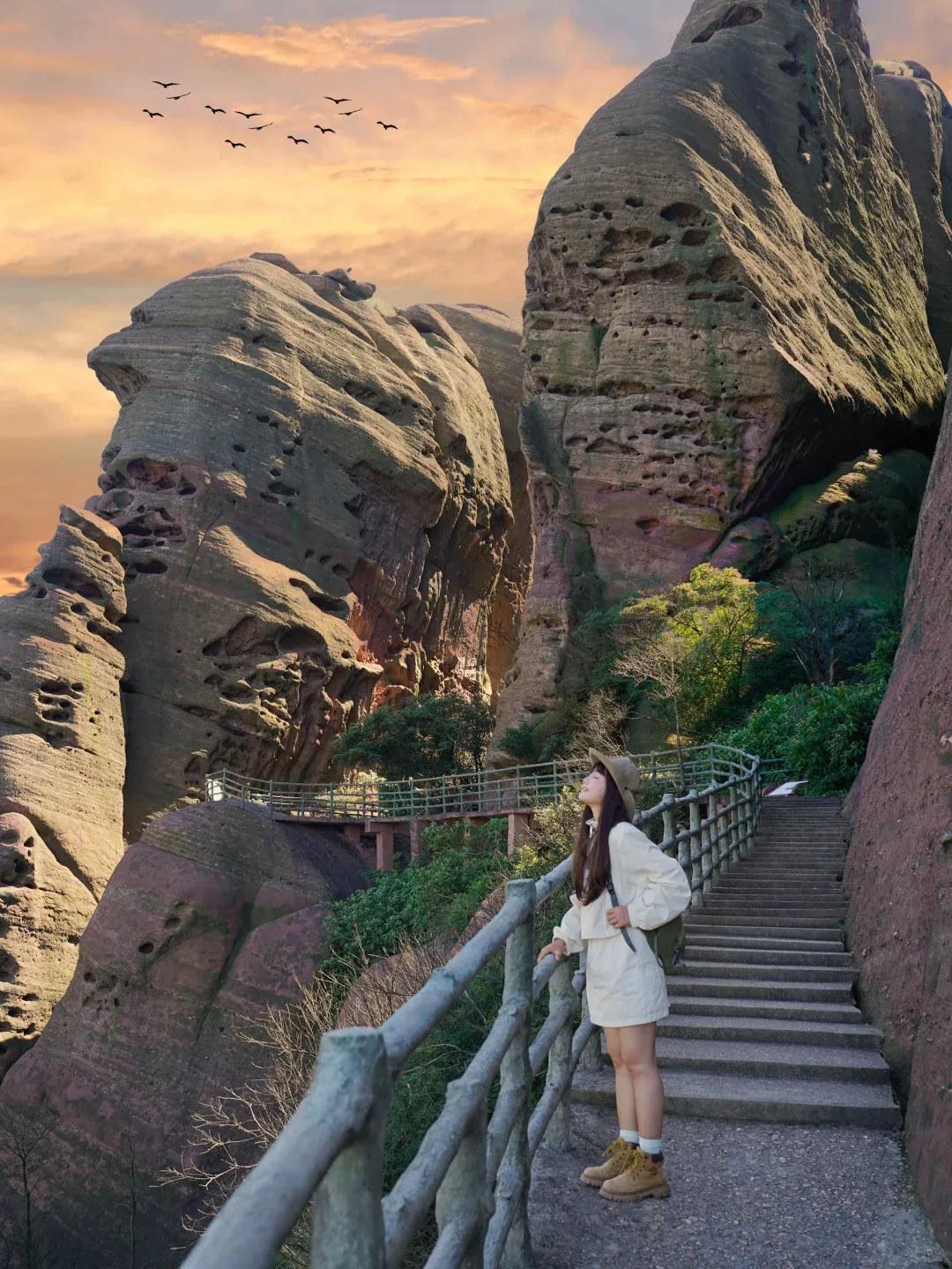 7805cd871cd501315697c5948665eee0-sz_3403356-2