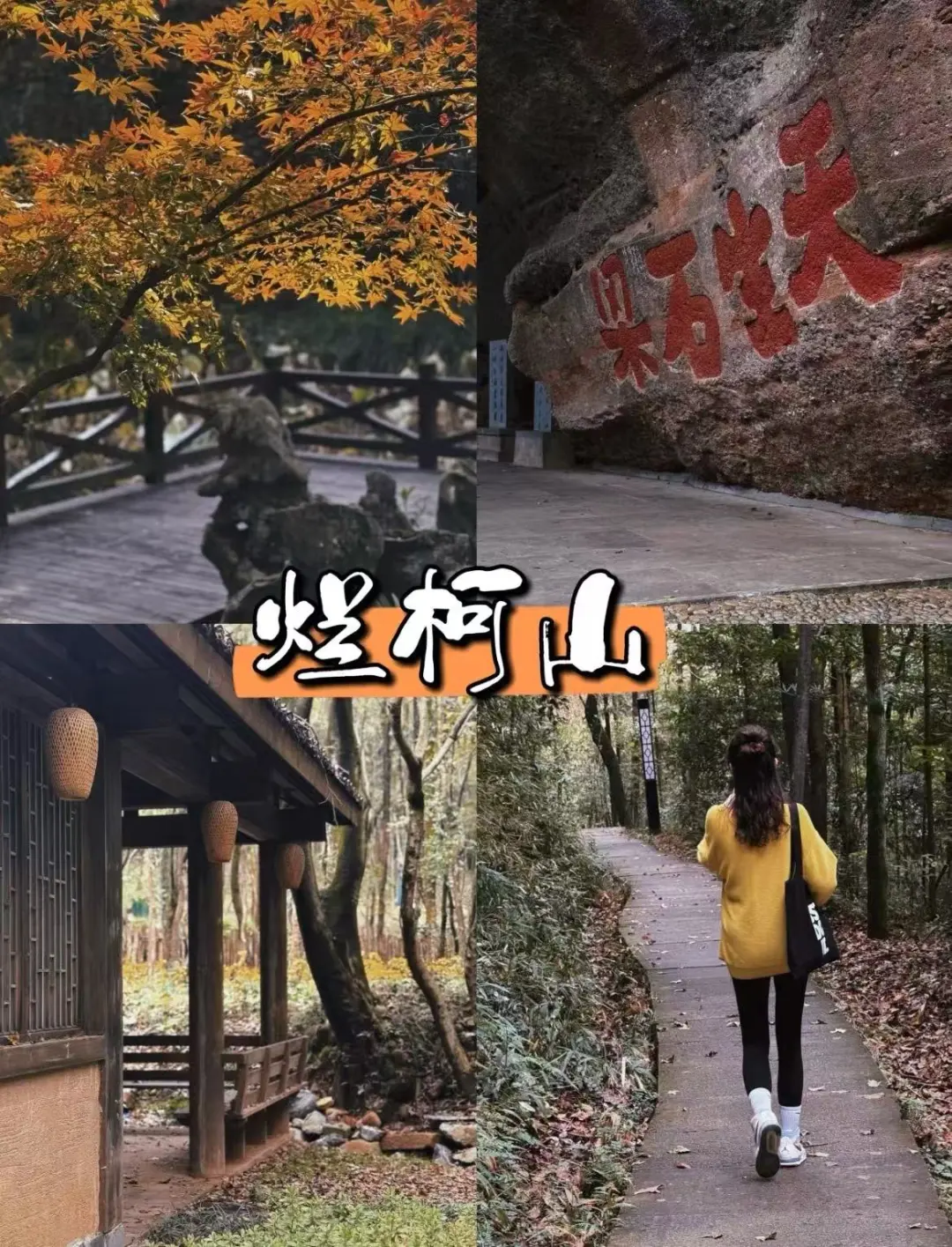 78755db6d1df6648e00dc022e8bbaa98-sz_388384