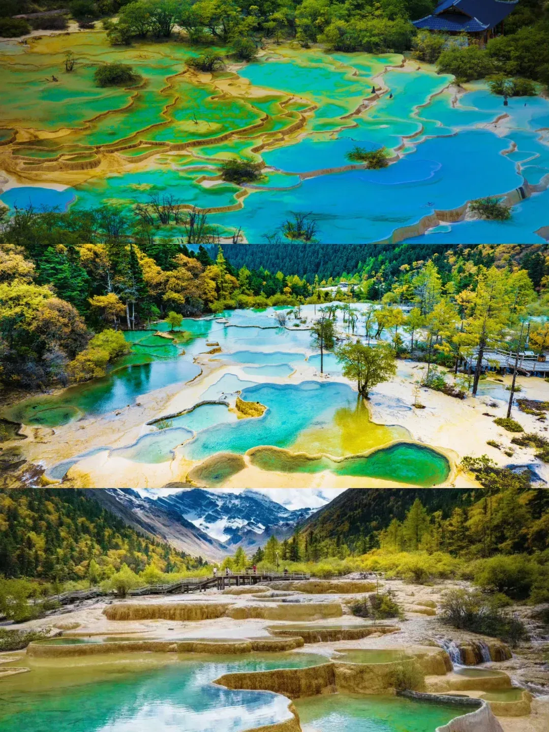 78bc4d95651dd385afd04ae0afde20b9-sz_4305979-5