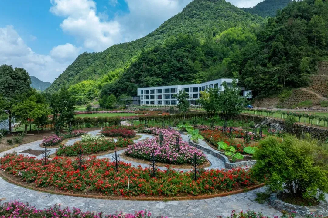 78c40745ae6145723a1e6e1faa8f571c-sz_204134