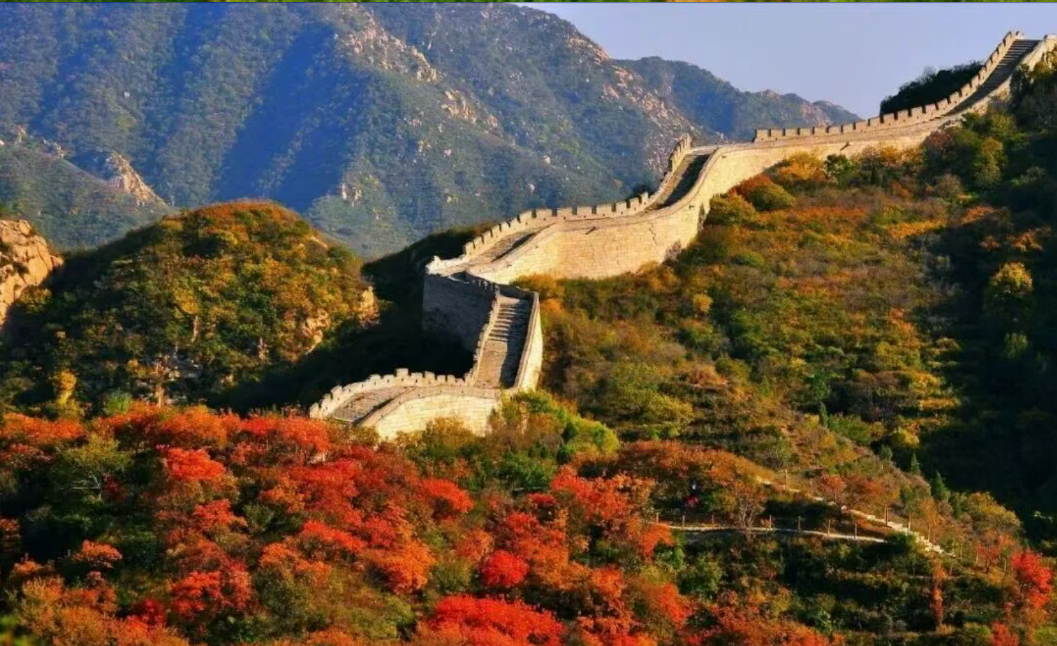 797238e900ea58fdb7230a399fe97eab