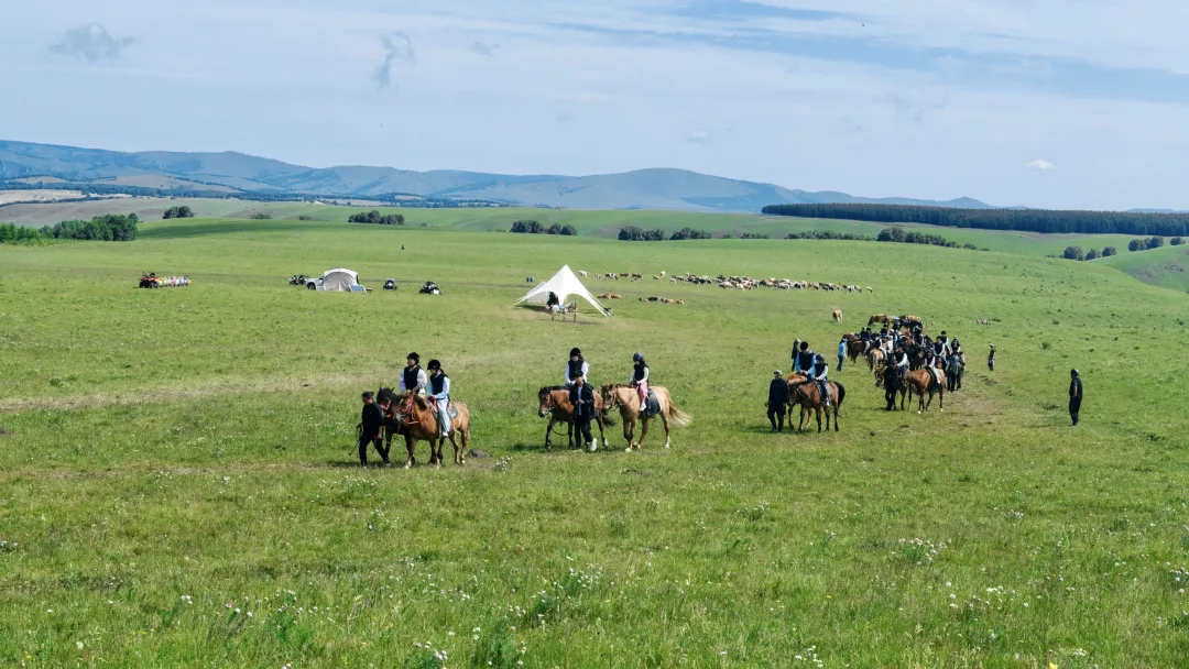 79b3df10c6b6aa43e2f577f4e6dd598e-sz_4041296