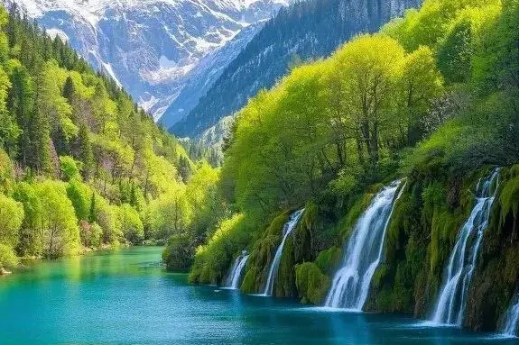 79c2f85f26b15259d2c5a8272f6f3286-sz_617651