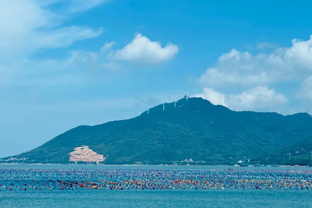 7a15c3d148a202fb07a1a7fe2e5a72a6-sz_291410